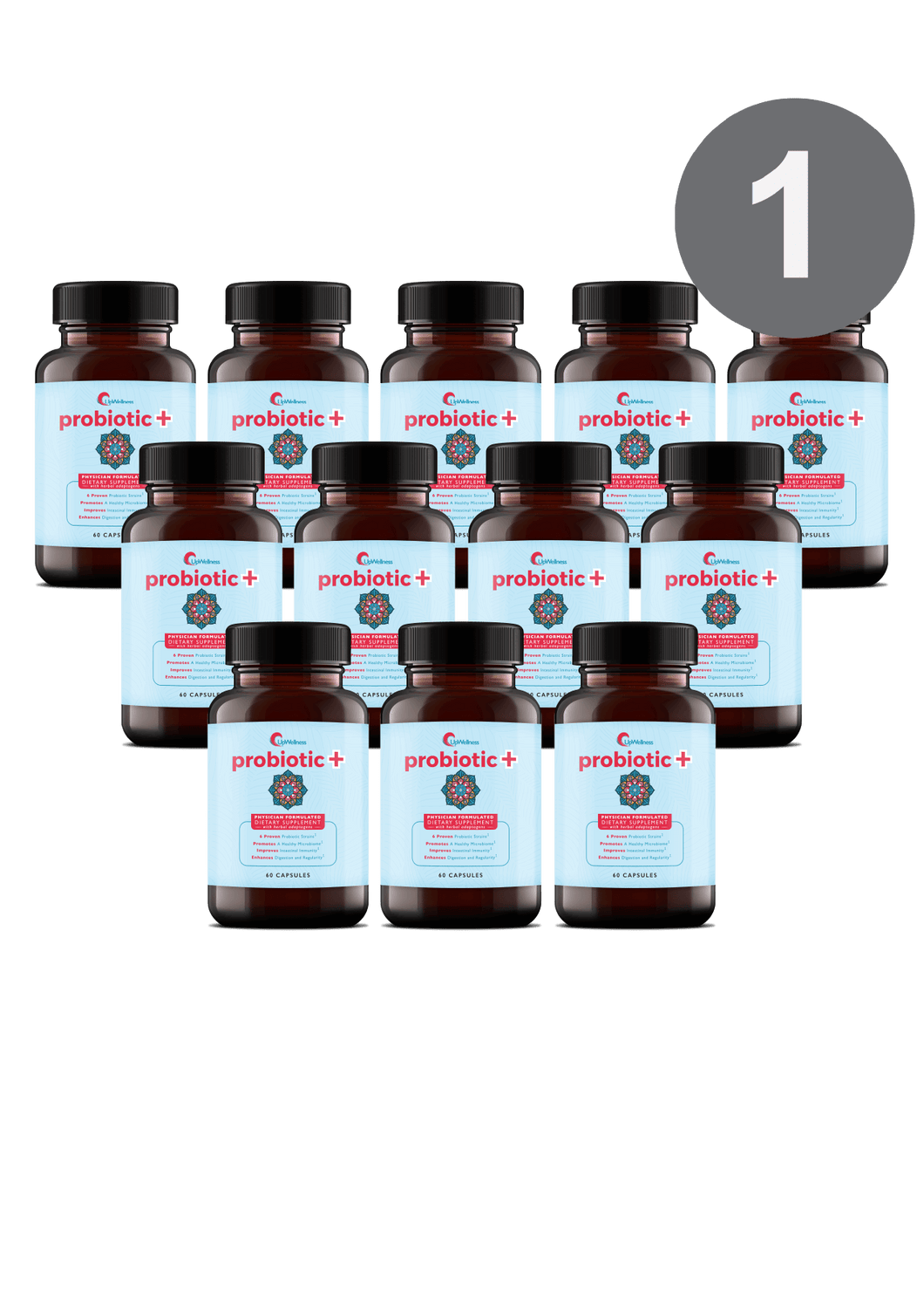Probiotic + : 12 Bottles