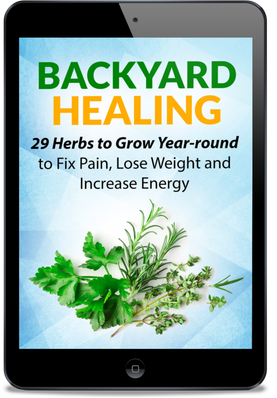 Backyard Healing: 29 Herbs To Grow Year-round